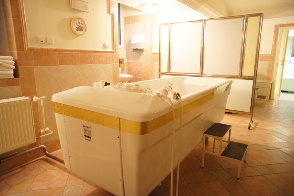 Hotel Mignon Karlovy Vary Ruang foto